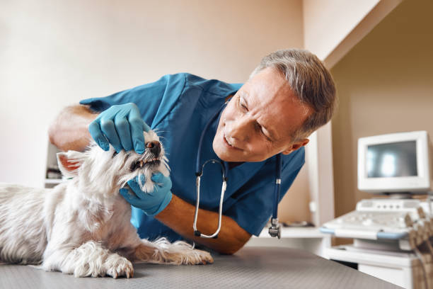 Best Emergency Tooth Extraction in Pico Rivera, CA