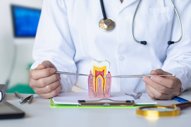 Best Emergency Broken Tooth Repair in Pico Rivera, CA
